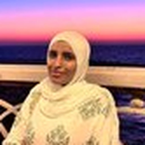 Flutter Developer | Alexandria