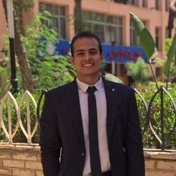 Senior Mobile Engineer (Flutter, Android, React Native)